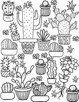 Pages Colouring Kids Coloring Cacti Succulents Days Long sketch template