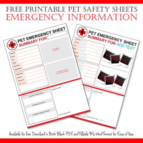 dalmatian diy  emergency pet information sheet printables