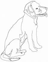 Coloring Pages Rottweiler Beagle Puppy Printable Color Beagles Russell Jack Realistic Dog Line Print Animals Terrier Drawing Getdrawings Getcolorings Library sketch template