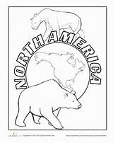 Coloring Pages America North Antarctica Worksheets American Continents Sheets Worksheet Wildlife Kids Geography Printable Map Animals Countries Color Education Seasons sketch template