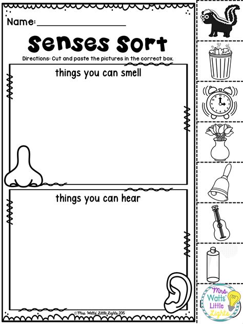 senses activities kindergarten  school