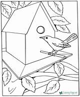 Coloring Pages Printable House Kids Adults Kid Bird Draw Sheets Birds Dementia Colouring Patients Templates Boys Adult Learn Print Easy sketch template
