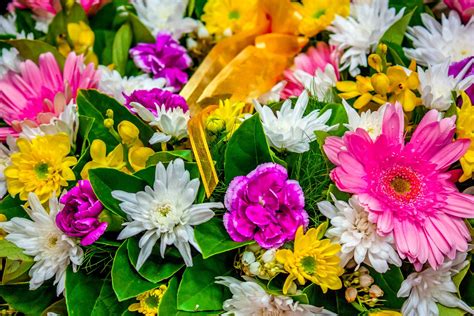 flower bouquet   photo  freeimages