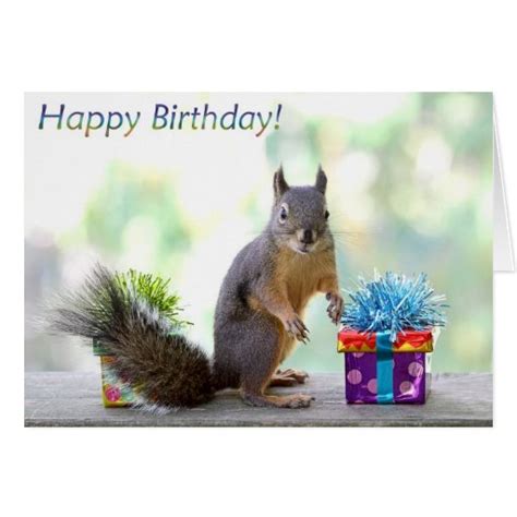 squirrel happy birthday greeting card zazzle