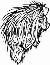 Porcupine Coloring Pages Drawing Printable Clipart Porcupines Categories Getdrawings Supercoloring Viper Head Line sketch template