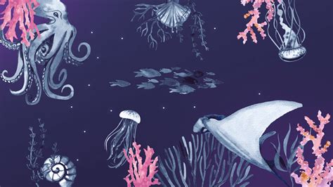 enchanted ocean life illustration wallpaperscom