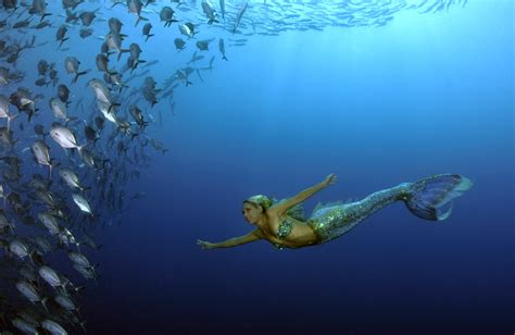 sea  real life mermaid hannah fraser