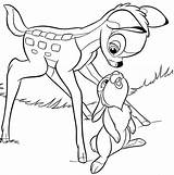 Bambi Panpan Enfants Coloriages sketch template