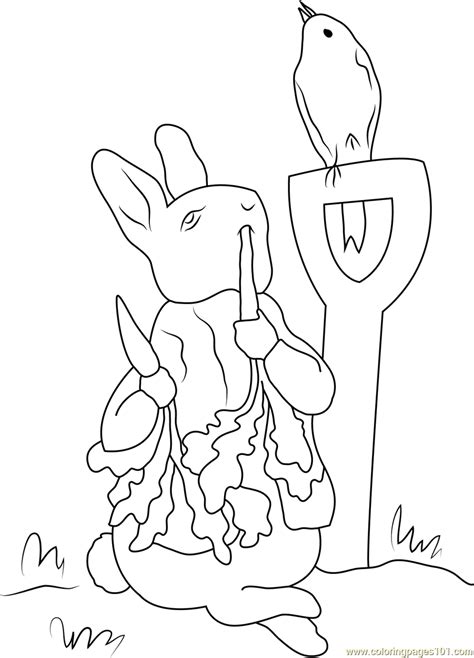 peter rabbit coloring pages  getdrawings