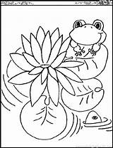 Coloring Pages Lily Frogs Monet Printable Kids Water Claude Color Pad Flowers Print Lilies Outline Children Pads Flower Clipart Drawing sketch template