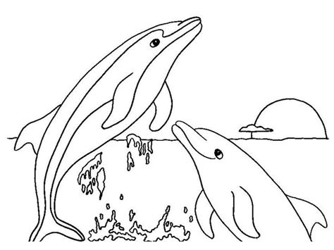 dolphins jumping realistic coloring pages tsgoscom tsgoscom