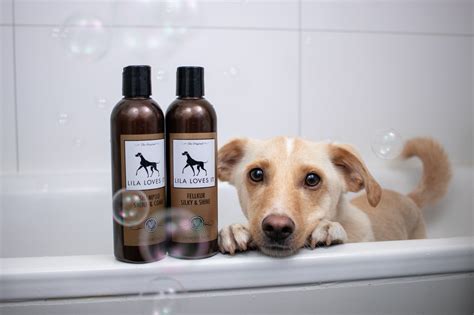 Hunde Shampoo Für Fellglanz Und Leichte Kämmbarkeit Gratis Versand