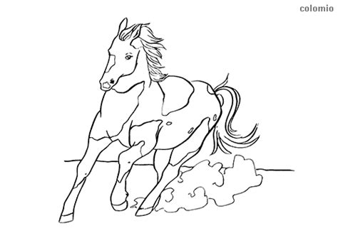 horse  fast gallop coloring page horse coloring horse coloring
