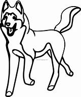 Husky Coloring Wecoloringpage Pages sketch template