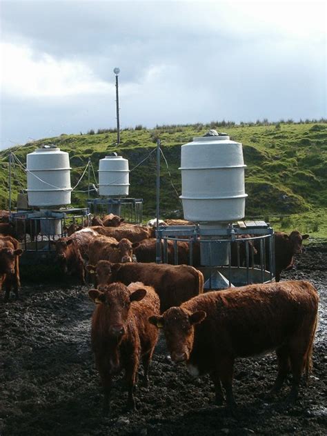 automatic cattle feeder © patrick mackie cc by sa 2 0 geograph