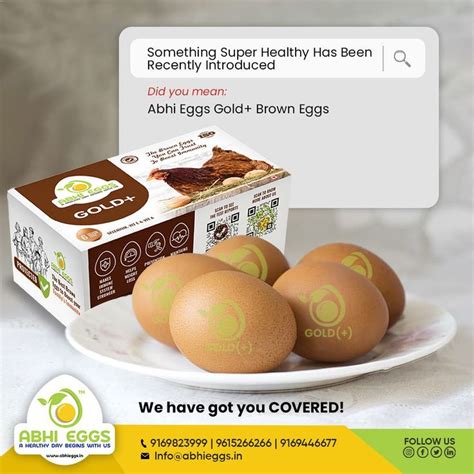 egg brands india   abhi eggs organic eggs eggs