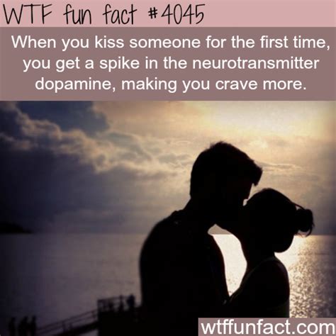 kissing for the first time that s so random weird facts wtf fun facts fun facts