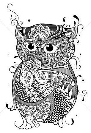 pin  coloring owls