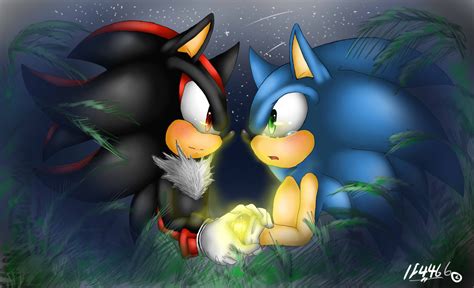 Sonadow You Can T Be Serious By Blueneedle Inu On Deviantart