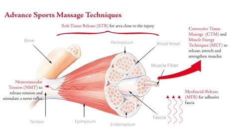 First Off Sports Massage Is Not The Same As Deep Tissue