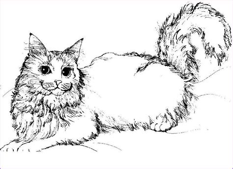 kittens coloring cat coloring page coloring pages  kids coloring