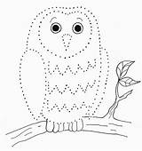 Drawing Owl Dot Dots Dotted Line Easy Kids Connect Printables Worksheet Pdf Printable Drawn Print Getdrawings Today sketch template