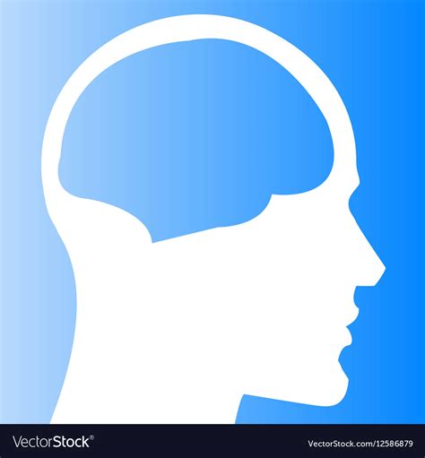human head  brain template royalty  vector image