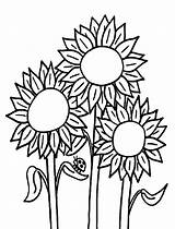 Sunflowers sketch template