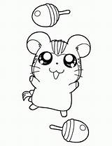 Hamster Coloriage Hamtaro sketch template