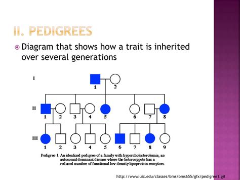 Ppt Chapter 12 Inheritance Patterns And Human Genetics