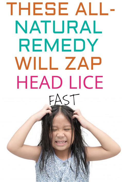 natural remedies for lice how to get rid of head lice head louse