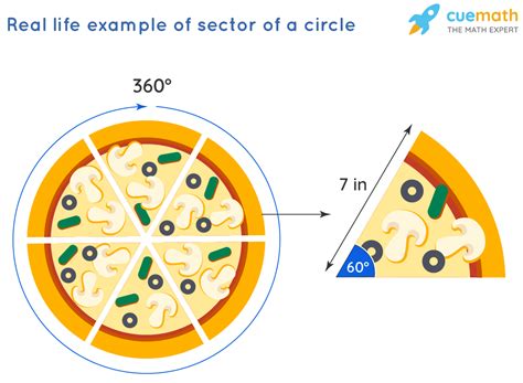 calculate area  sector   circle