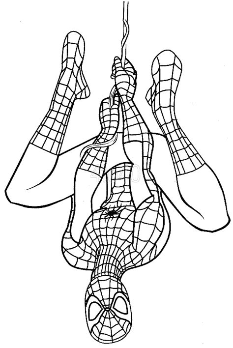 spiderman coloring pages coloring pages  kids