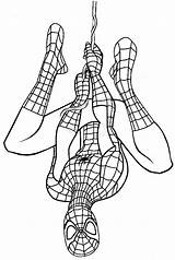 Spiderman Coloring Pages Printable Sheets Kids Book sketch template