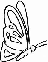 Coloring Pages Butterflies Clipart sketch template