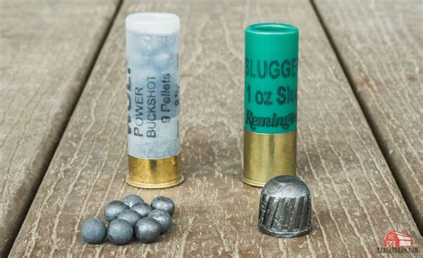 buckshot  slug  shotgun shells  home defense