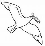 Gaviota Colorear Gaviotas Seagull Volando Peixe Gull Bico Iluminar Desenho Imagui sketch template