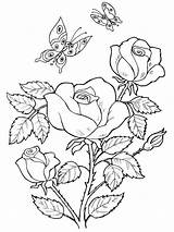 Coloring Rose Pages Flowers Flower Print Color Kids Recommended sketch template