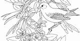 Washington Bird State Coloring Flower sketch template