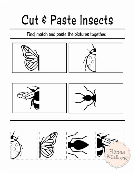 printable cut  paste activity worksheets grade