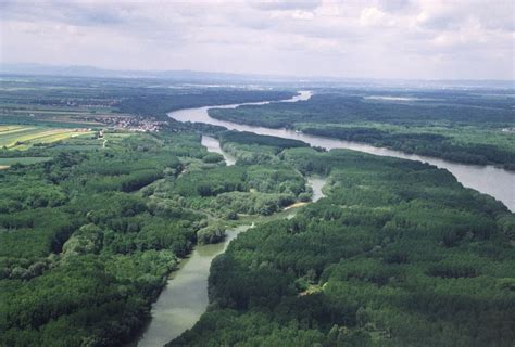 wwf oesterreich stellt sich gegen geplanten donau oder elbe kanal wwf