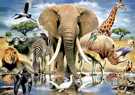 spreekbeurt kenia spreekbeurt keniayurlsnet african animals elephant canvas art