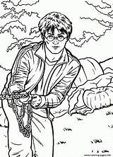 Coloring Pages Potter Harry Voldemort Privacy Policy Terms sketch template