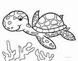 Coloring Pages Turtle Sea Print Squid Fox sketch template