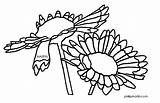 Blanket Flower Indian Clipart Oklahoma Info Coloring Clipground States Wild State sketch template