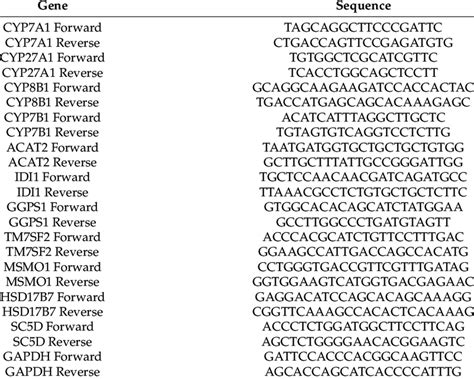 the table of gene primer sequences download scientific diagram