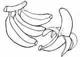 Colorir Bananas Desenhos Kleurplaat Tree Vegetable Banaan Frutas Melancia Downloaden sketch template