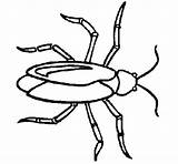 Cockroach Coloring Pages Primarygames Insects Insect Color Kids Colorear Para Cucaracha Coloringcrew Cliparts Imagen Library Clipart Results sketch template