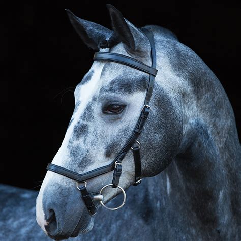 rambo micklem competition bridle eileen douglas tack shops