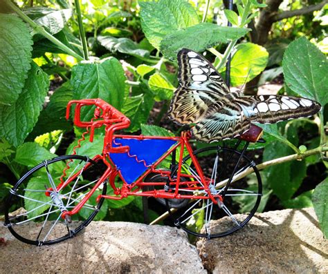 butterflies  bikes
